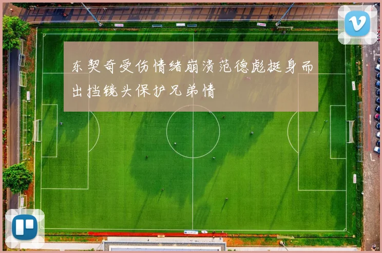 东契奇受伤情绪崩溃范德彪挺身而出挡镜头保护兄弟情